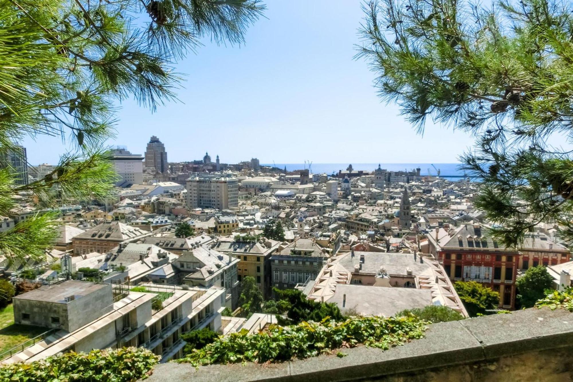 Graceful Center - Happy Genua